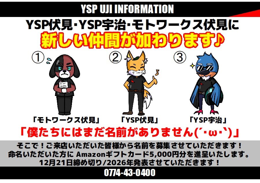 新しい仲間が加わります♪